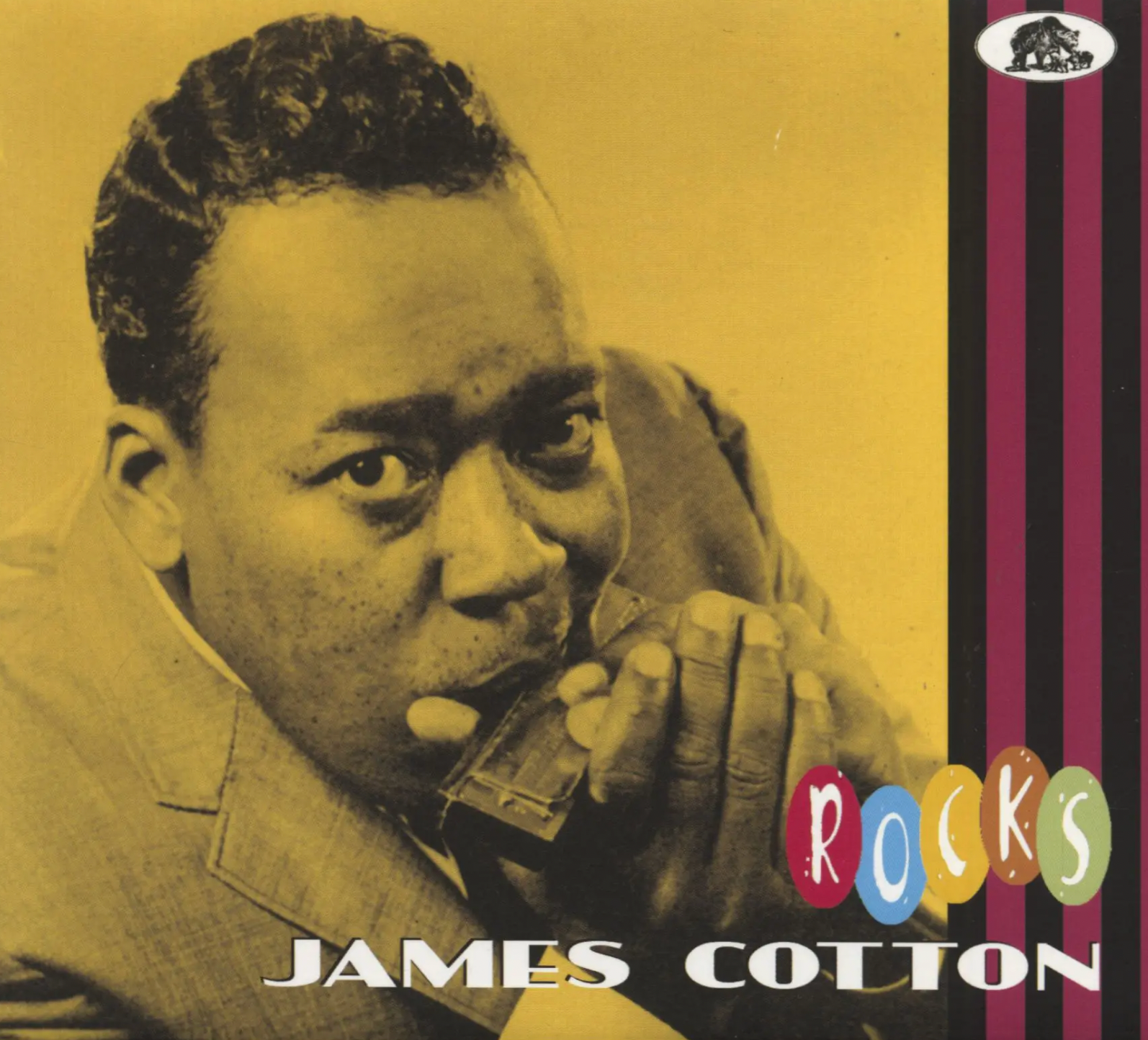 James Cotton Rocks album