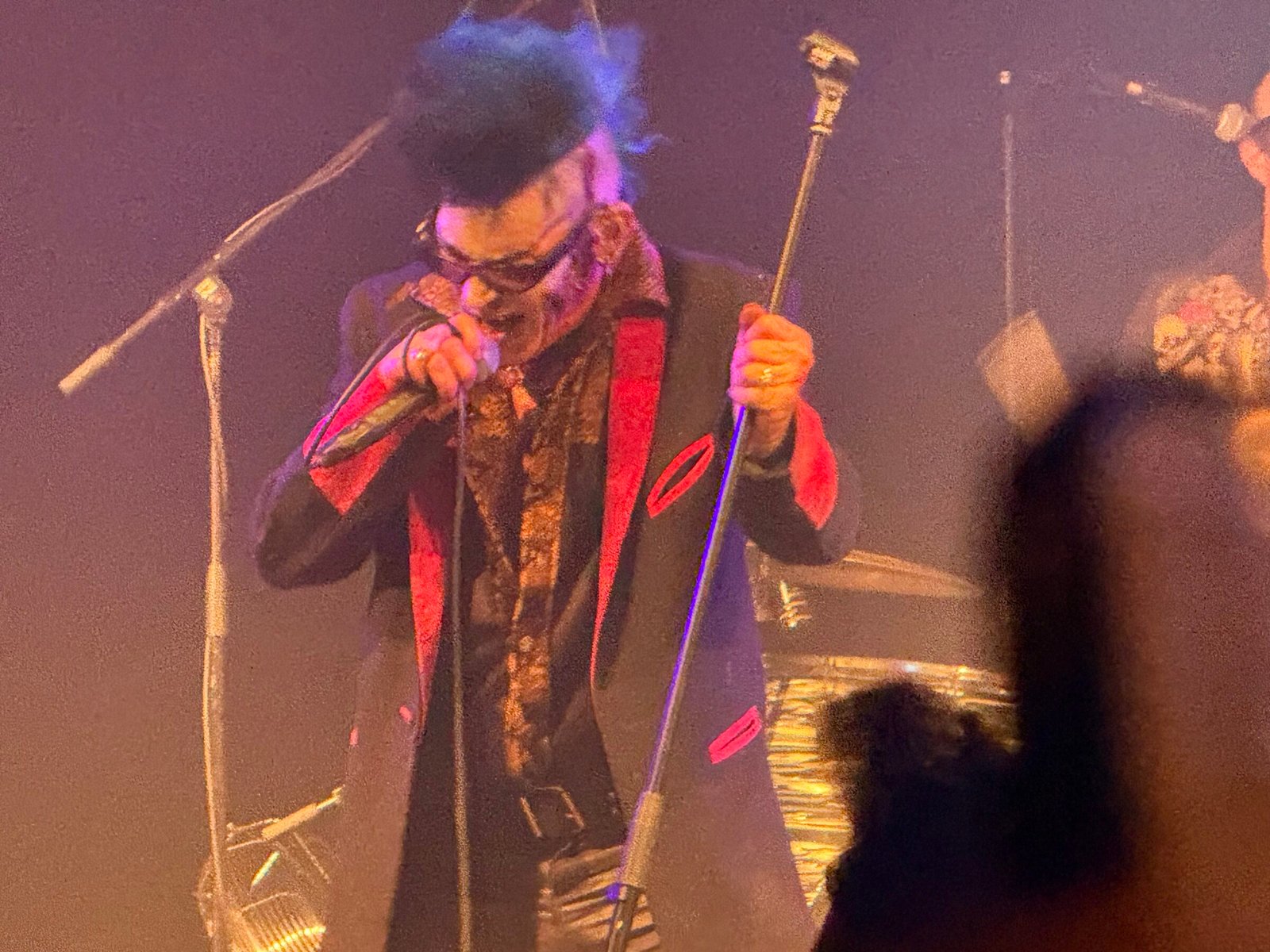 Demented Are Go (Live Leipzig WGT 2026, pic by DJLeo)